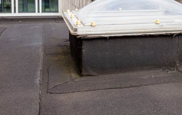 disadvantages of Dimlands flat roofs