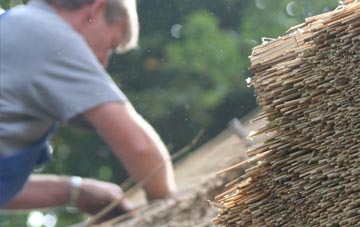 professional Dimlands thatchers