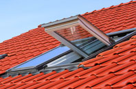 Dimlands roof window
